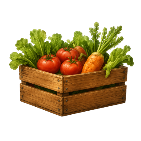 Crate of freshly harvested vegetables